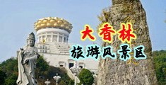 我要肏。屄看视频中国浙江-绍兴大香林旅游风景区